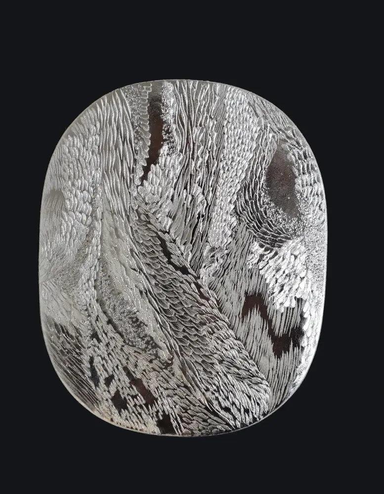 Skin engraving, butterfly wing