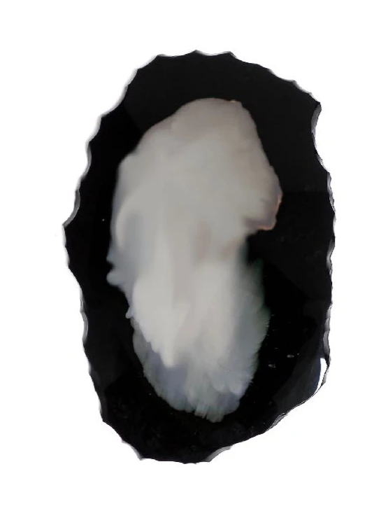 Organic obsidian with silvering — material hybridization