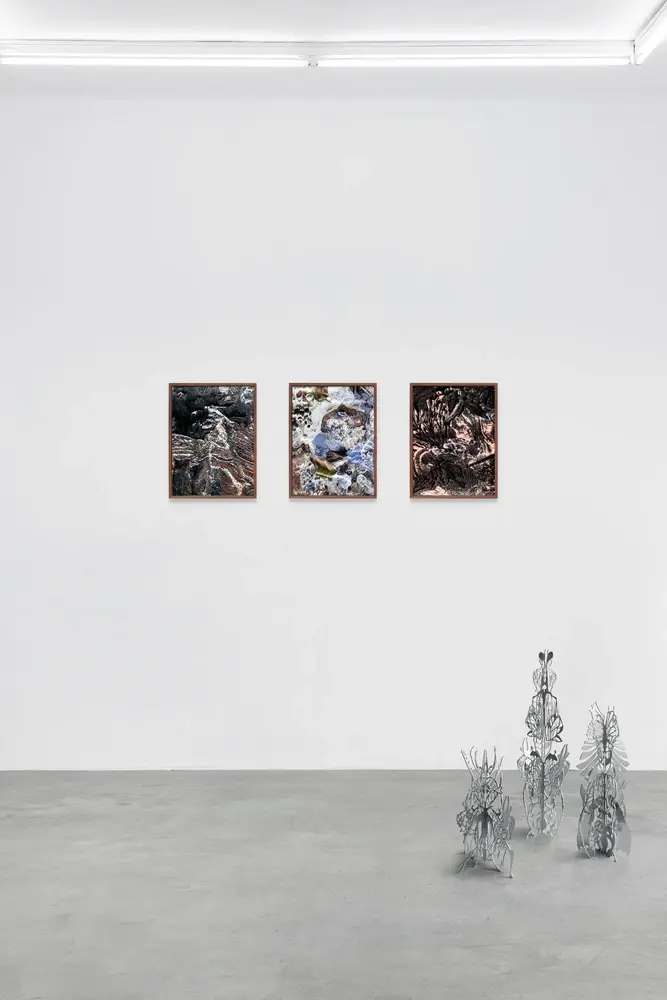 Exhibition view, framed embroidered weaving, aluminum insect exoskeleton